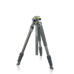 Alta Pro 2+ Bundle #2: - Alta Pro 2+ 264CT Tripod, Alta BH-100 Ball Head, Extra QS-60 v2