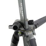 Alta Pro 2+ Bundle #4: - Alta Pro 2+ 263CT Tripod, Alta BH-250 Ball Head, Extra QS-60 v2