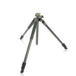 Alta Pro 2+ Bundle #4: - Alta Pro 2+ 263CT Tripod, Alta BH-250 Ball Head, Extra QS-60 v2