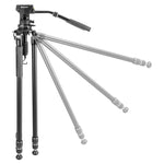 Alta Pro 3VRL 303AV20 Professional Video Tripod w/ Pan Head