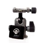 Alta Pro 2+ Bundle #2: - Alta Pro 2+ 264CT Tripod, Alta BH-100 Ball Head, Extra QS-60 v2