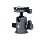 Alta Pro 2+ Bundle #4: - Alta Pro 2+ 263CT Tripod, Alta BH-250 Ball Head, Extra QS-60 v2