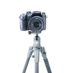VEO 2S 204CB Carbon Travel Tripod/Monopod with Ball Head - Rated at 8.8lbs/4kg