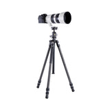 VEO 3 263CB Carbon Fiber Tripod w/ Dual-Axis Ball Head