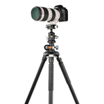 VEO 3+ 263AB 160S Aluminum Tripod w/ Dual-Axis Ball Head