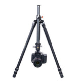Vanguard Studio Kit: Pro Tripod, Camera Bag & Extra Quick-Release Plate Bundle