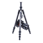 Vesta TB 204CB Carbon Fiber Tripod with T-46 Ball Head