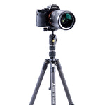 Vesta TB 204CB Carbon Fiber Tripod with T-46 Ball Head