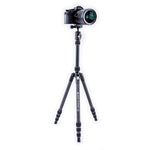 Vesta TB 204CB Carbon Fiber Tripod with T-46 Ball Head