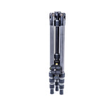 Vesta TB 204CB Carbon Fiber Tripod with T-46 Ball Head