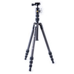 Vesta TB 204CB Carbon Fiber Tripod with T-46 Ball Head